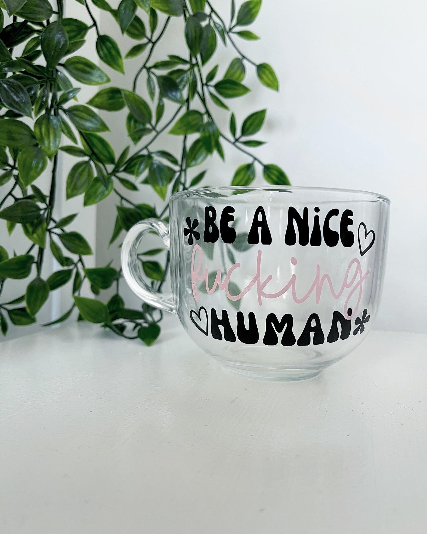 Be A Nice Fucking Human Mug.